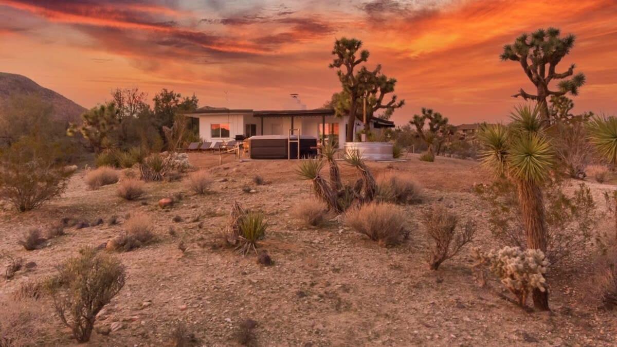 Kinetic House-Joshua Trees Sculptures Cowboy Pool Villa Yucca Valley Eksteriør bilde